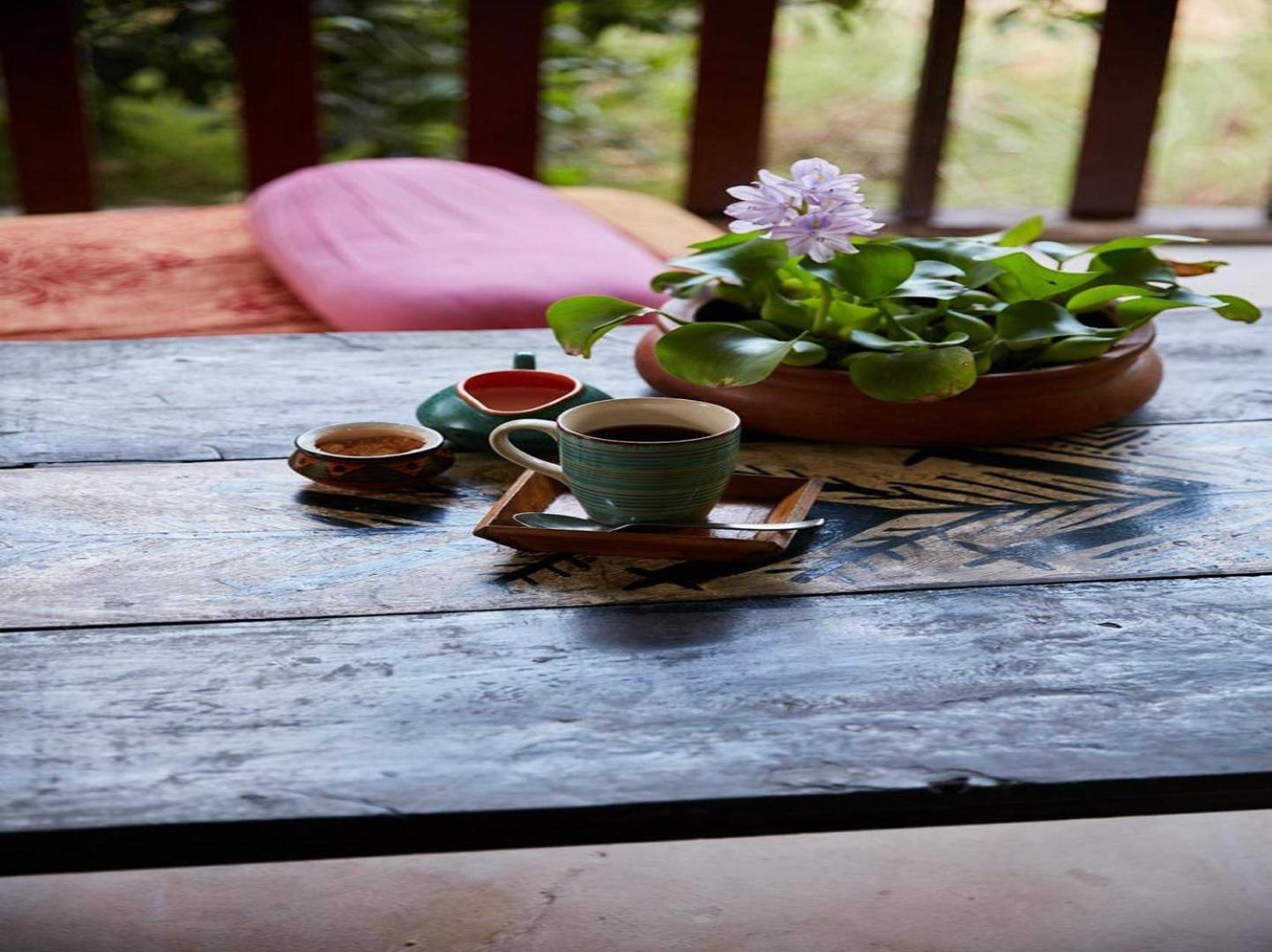 Jamboree Creek Yoga マンドレム エクステリア 写真