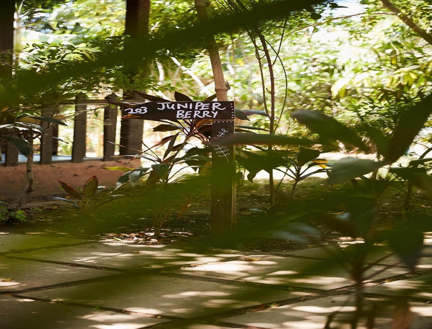 Jamboree Creek Yoga マンドレム エクステリア 写真
